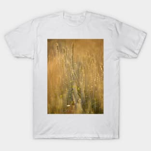 Common Wheat T-Shirt